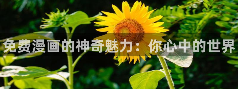 不知火舞歪歪漫画